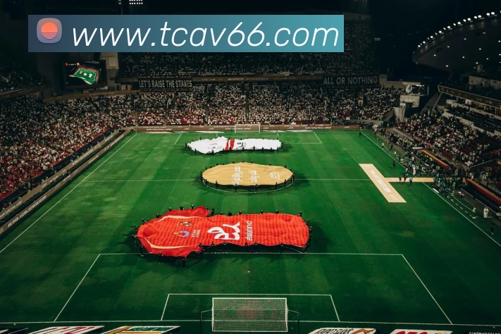 v66全站App